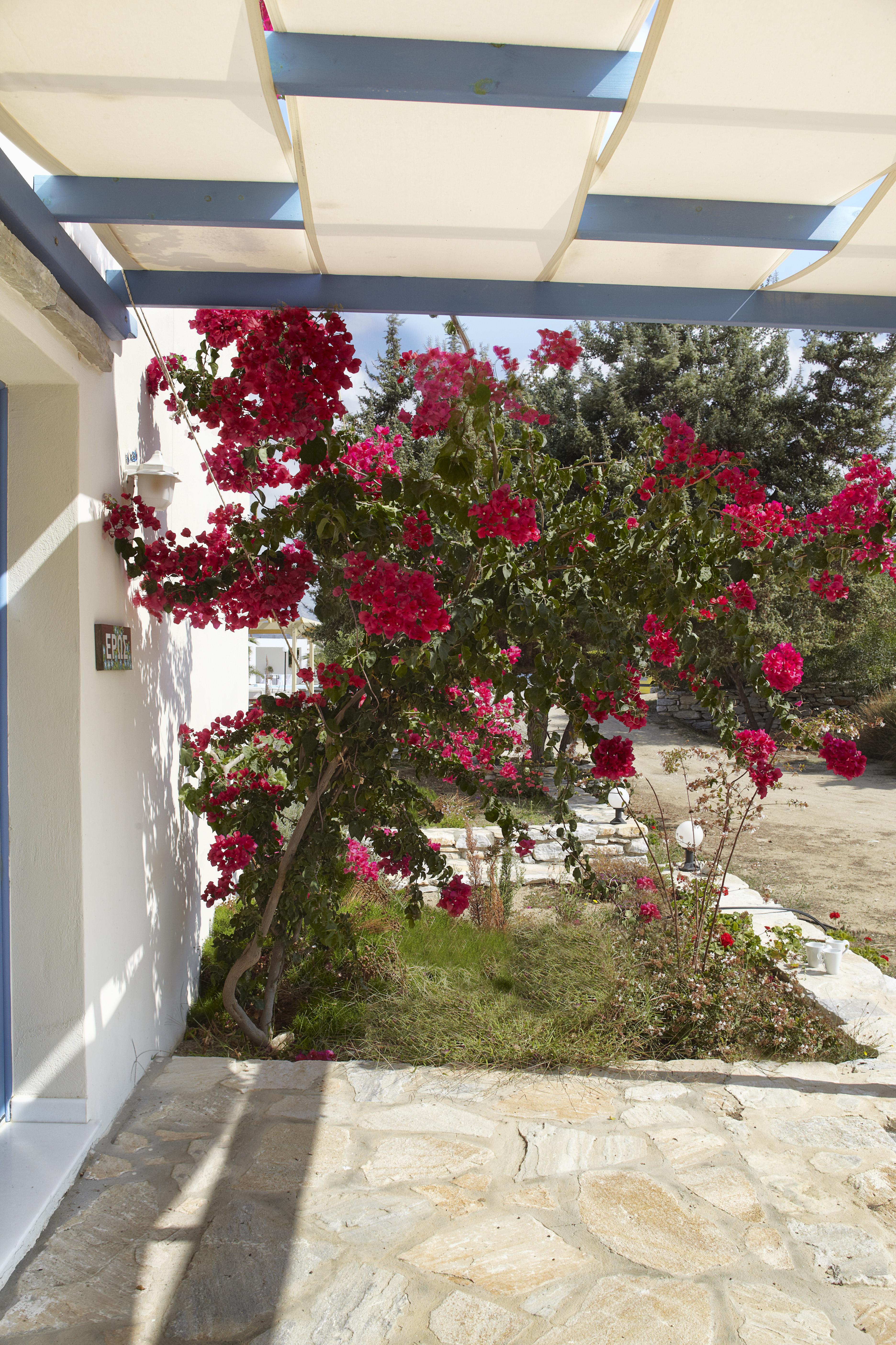 Kedros Villas Agios Prokopios  Dış mekan fotoğraf