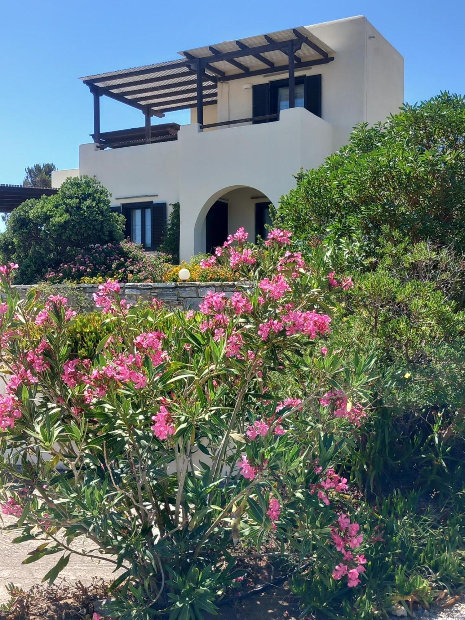 Kedros Villas Agios Prokopios  Dış mekan fotoğraf