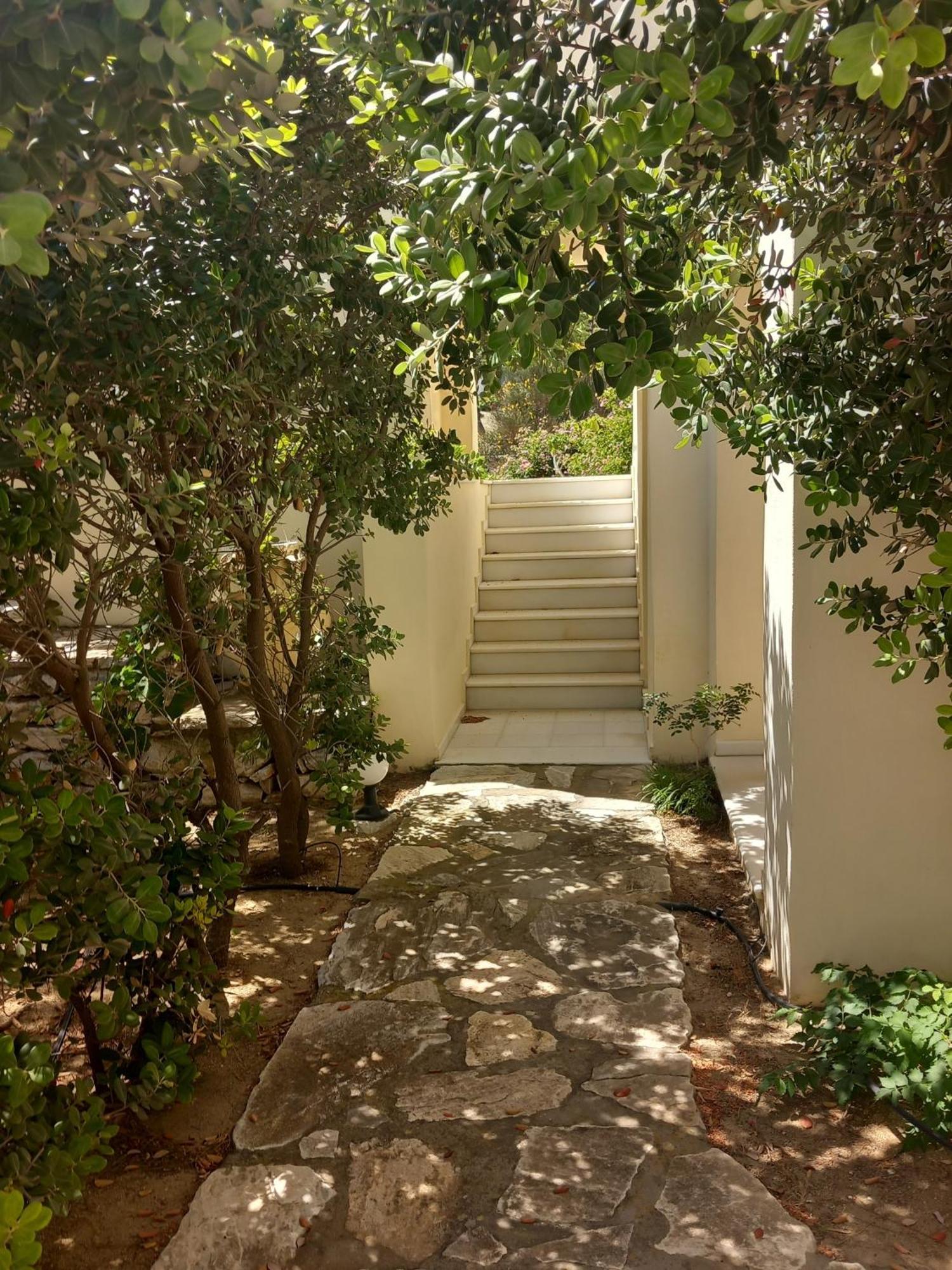 Kedros Villas Agios Prokopios  Dış mekan fotoğraf