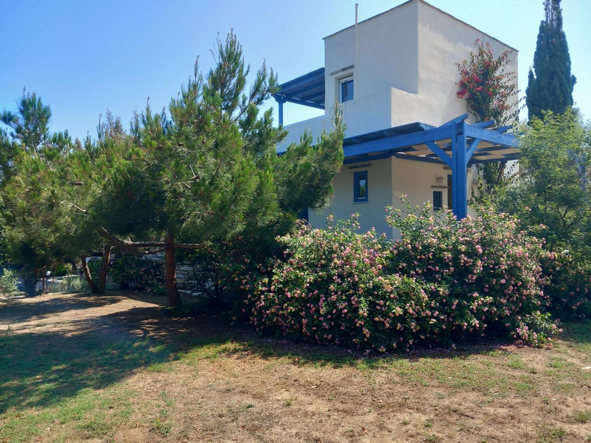 Kedros Villas Agios Prokopios  Dış mekan fotoğraf