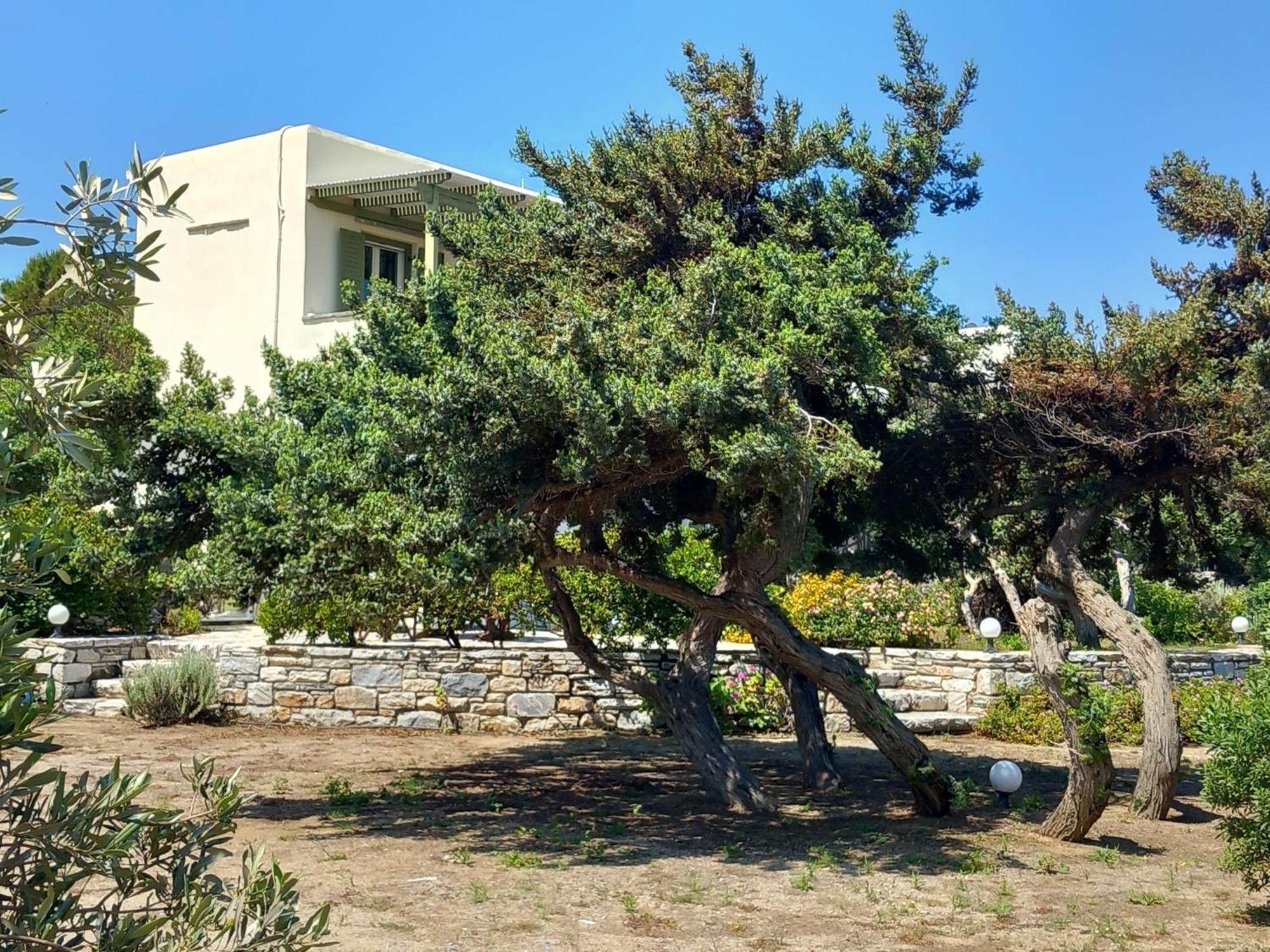 Kedros Villas Agios Prokopios  Dış mekan fotoğraf